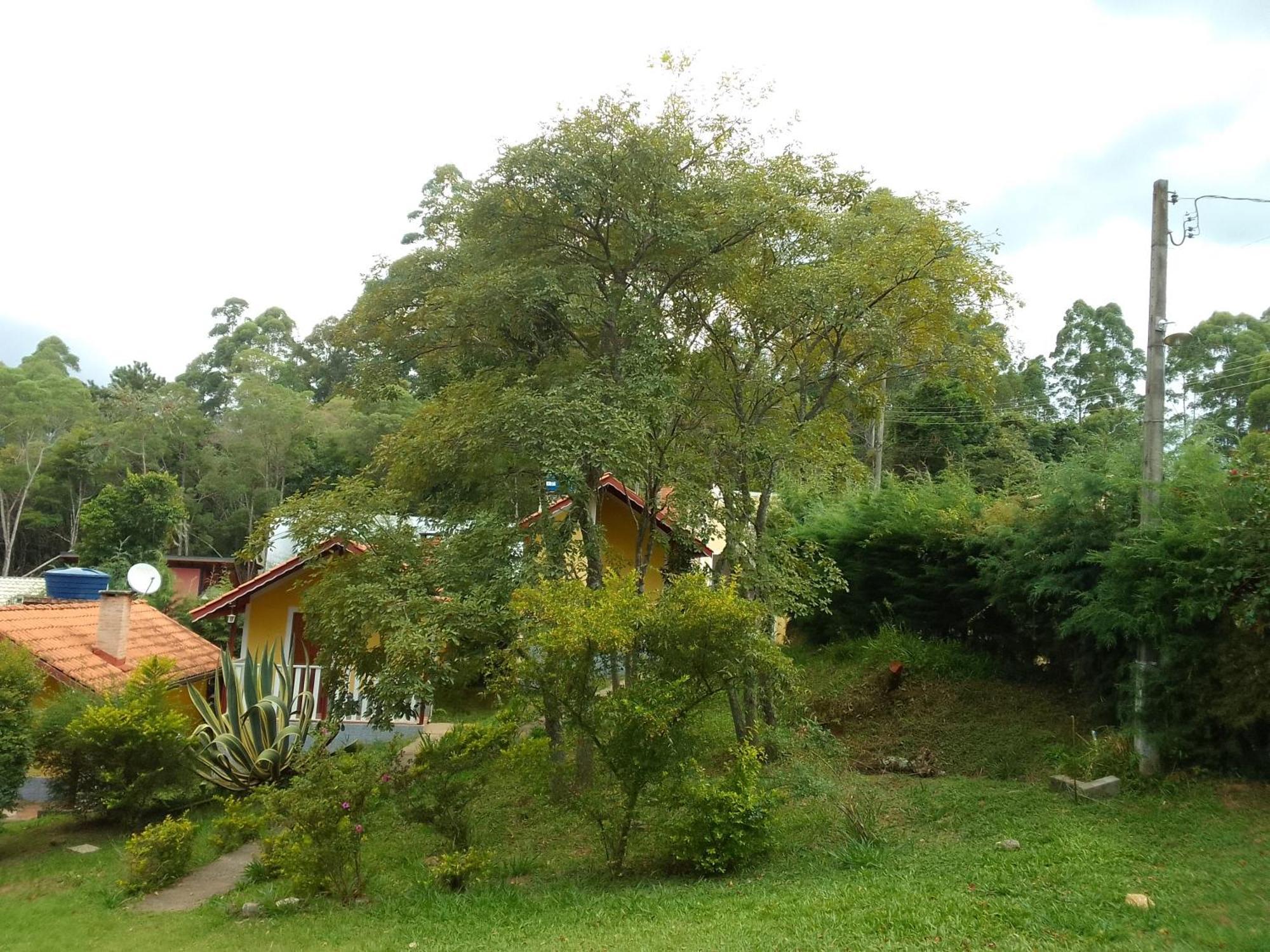 Chales Canto Dos Passaros Monteverde Extérieur photo